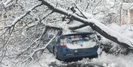 Winter Storm Damage and Your Home Insurance Coverage